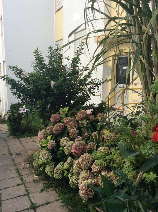 Jardim Das Flores Faro Luaran gambar