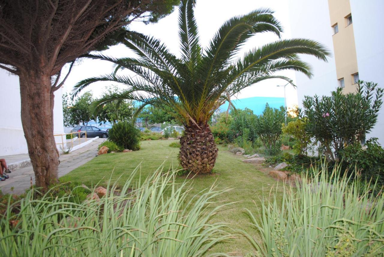 Jardim Das Flores Faro Luaran gambar